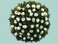 White Rose, Gerbera, Anemone